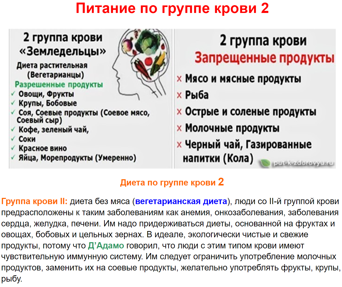 Самые сексуальные: как группа крови влияет на поведение людей в постели